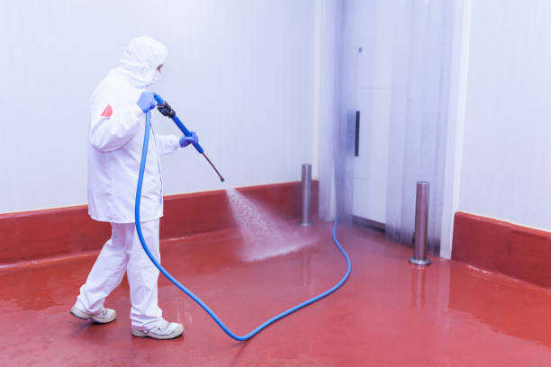 East Glenville, NY Pressure Washing Services Company